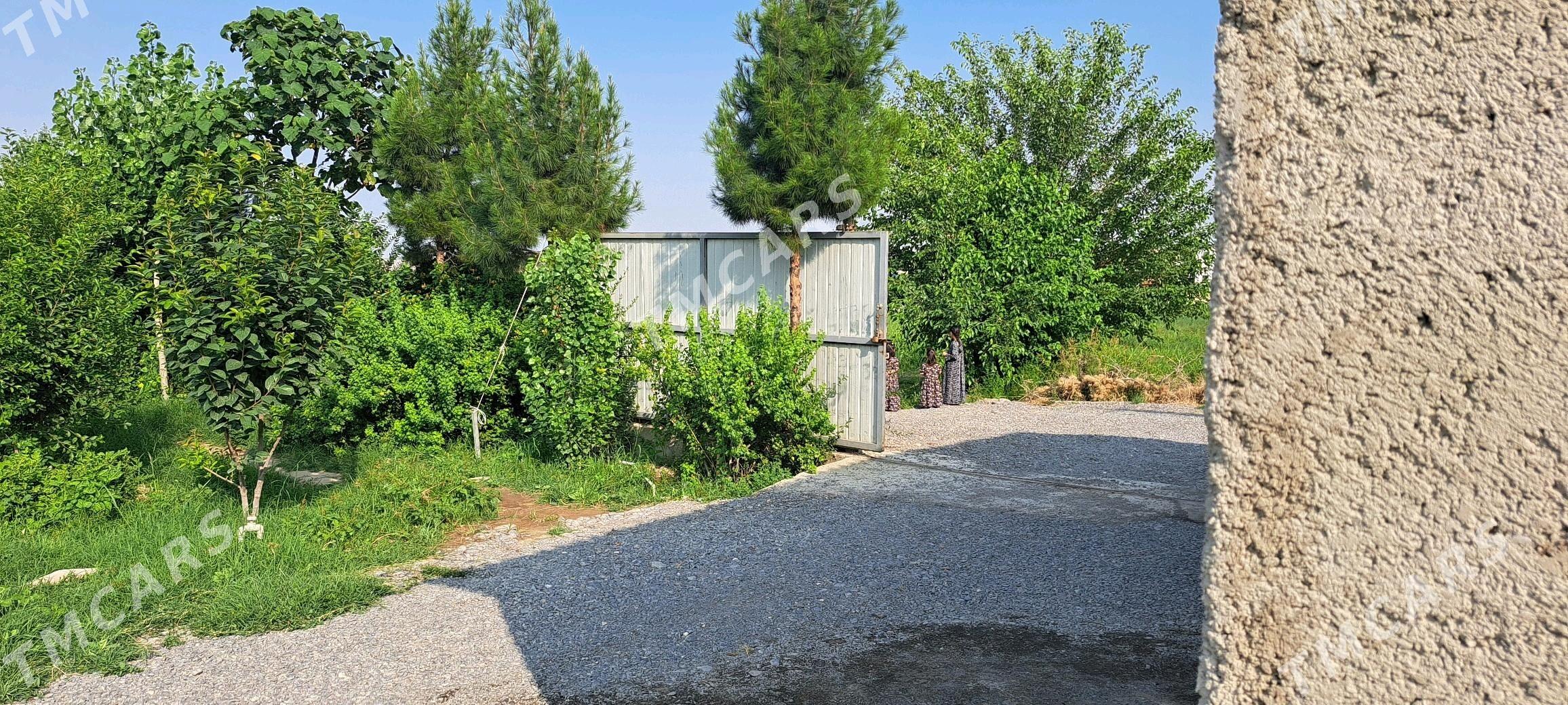 Bagyrda arenda - Багир - img 2