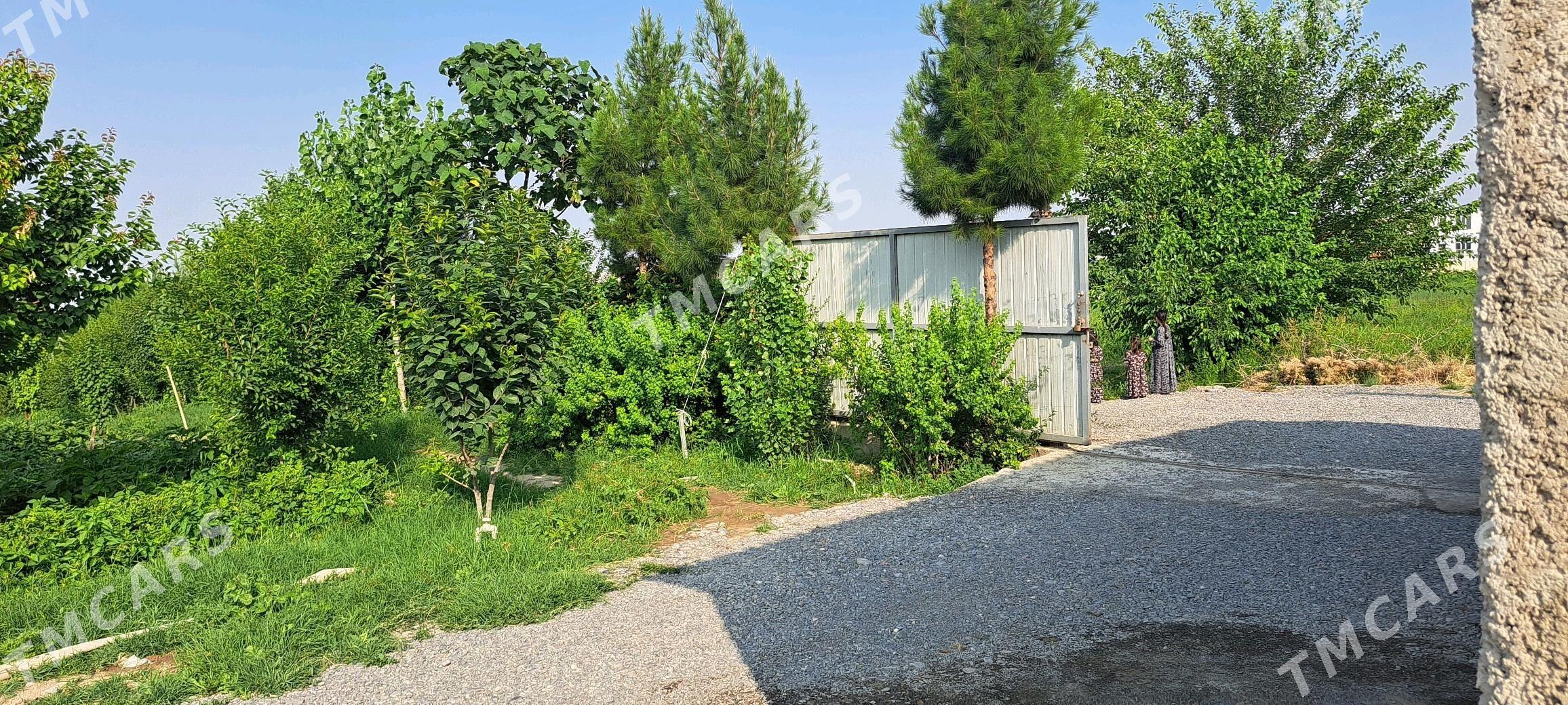 Bagyrda arenda - Багир - img 6