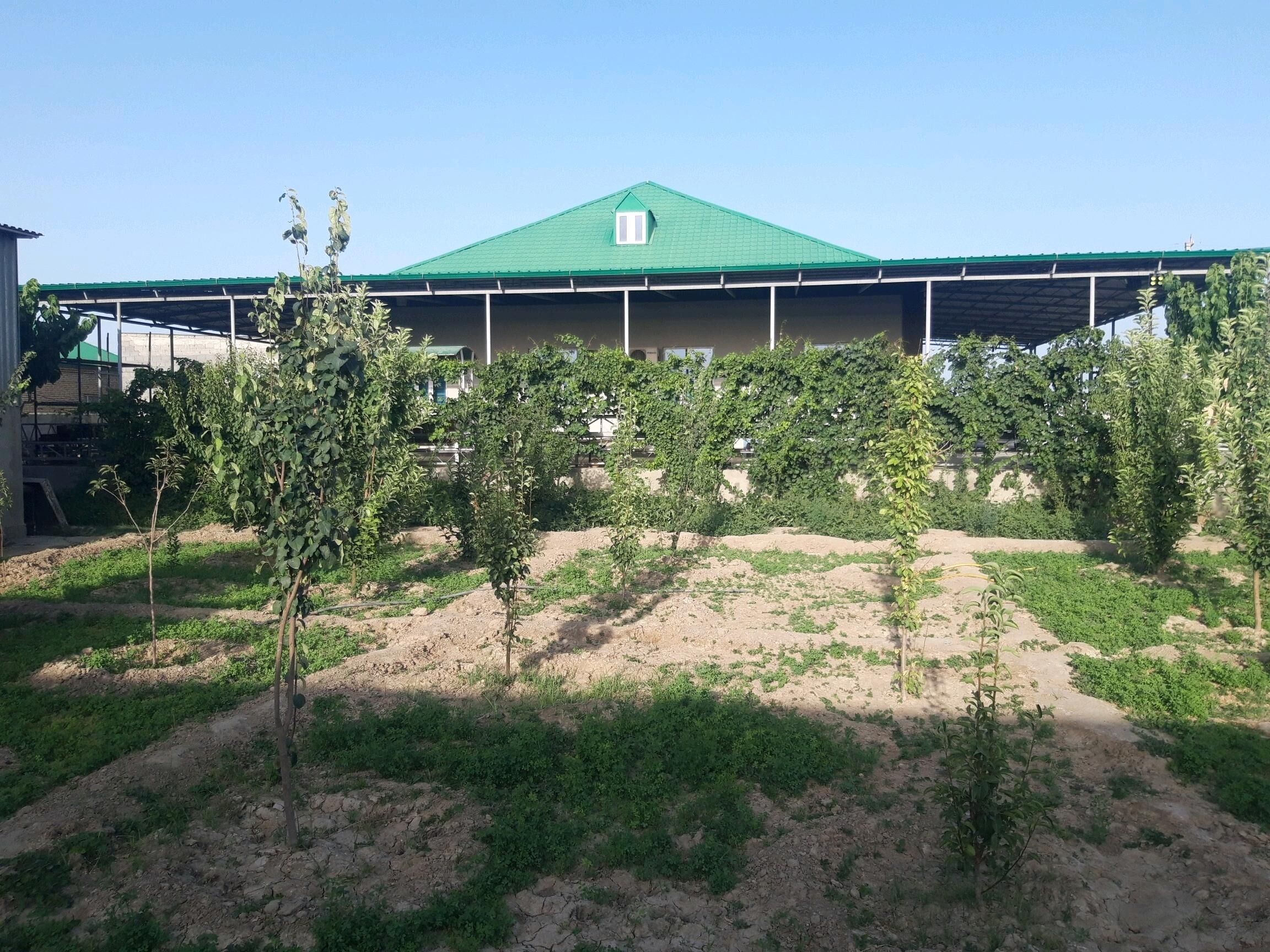 Satlyk jaý plan.Aşgabat. - Бузмеин - img 10