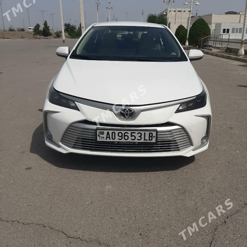 Toyota Corolla 2020 - 300 000 TMT - Türkmenabat - img 2