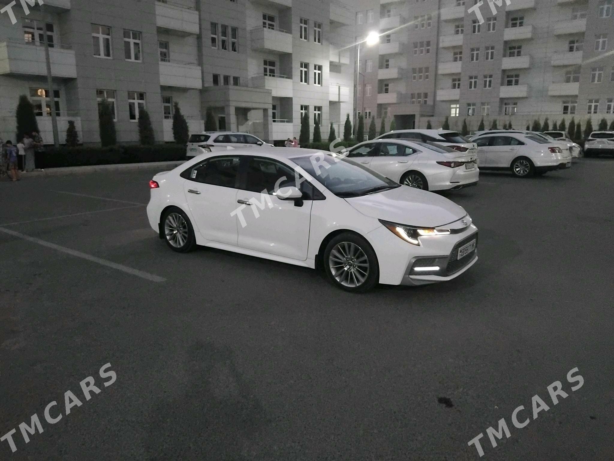 Toyota Corolla 2020 - 300 000 TMT - Mary - img 7
