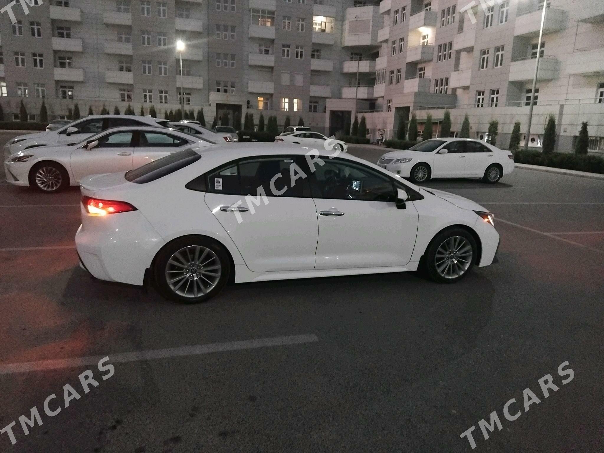Toyota Corolla 2020 - 300 000 TMT - Mary - img 6
