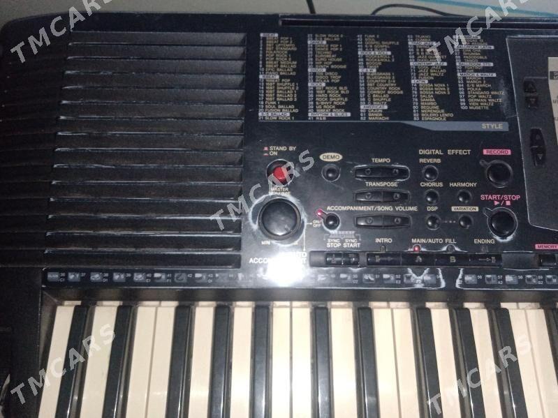 Yamaha bloklar - Kerki - img 10