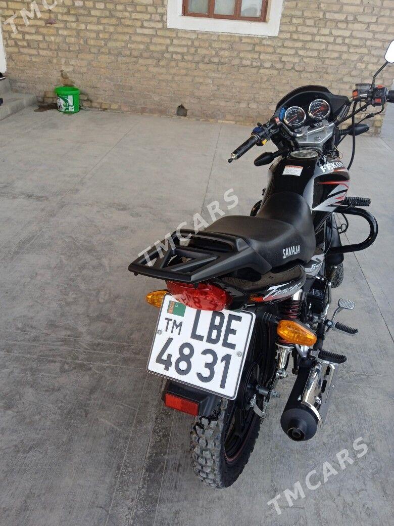 Fekon FK150-8G 2024 - 20 000 TMT - Garabekewül - img 2