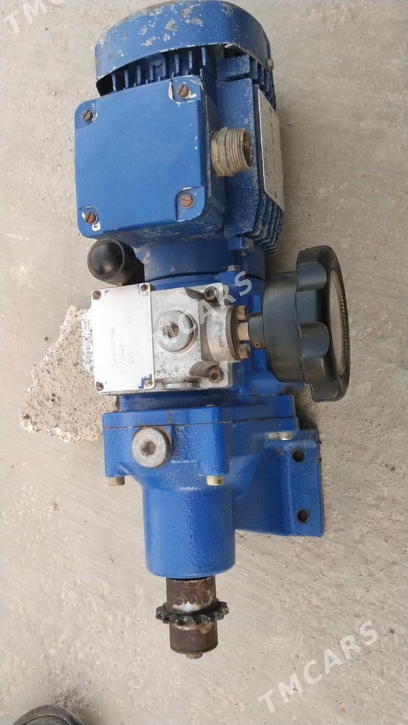 rudukdr. motor - Çoganly - img 2