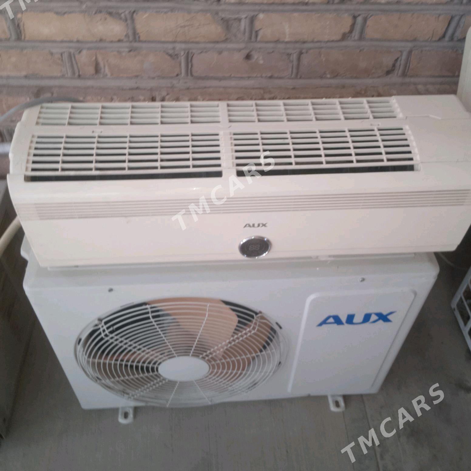 AUX - Mary - img 2