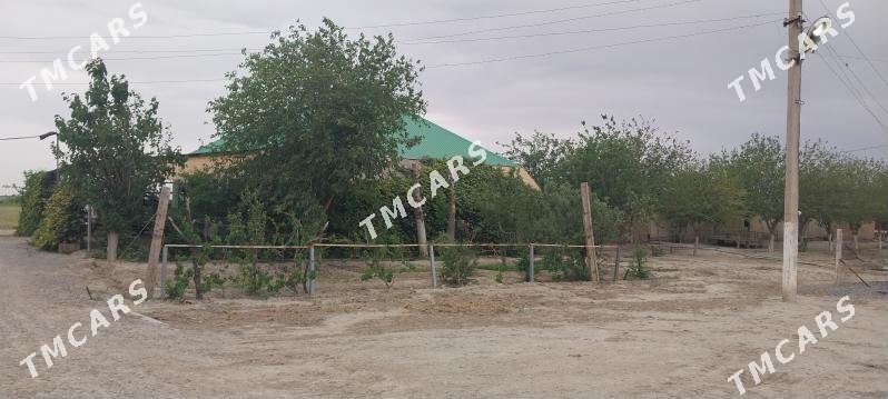 jay hem ferma - Ýaşlyk - img 2