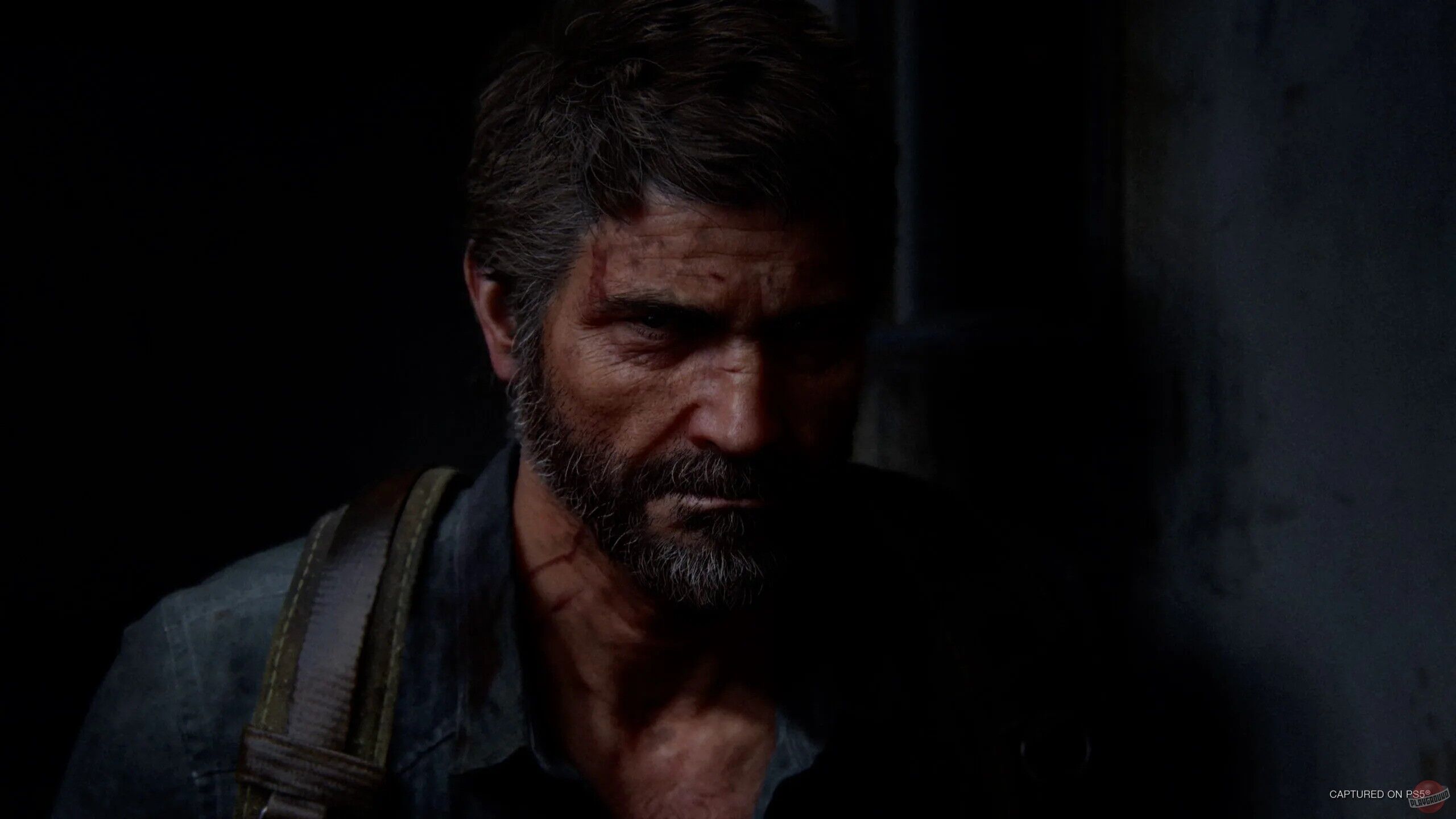 The Last of Us: Part 1 we 2 - Büzmeýin - img 3
