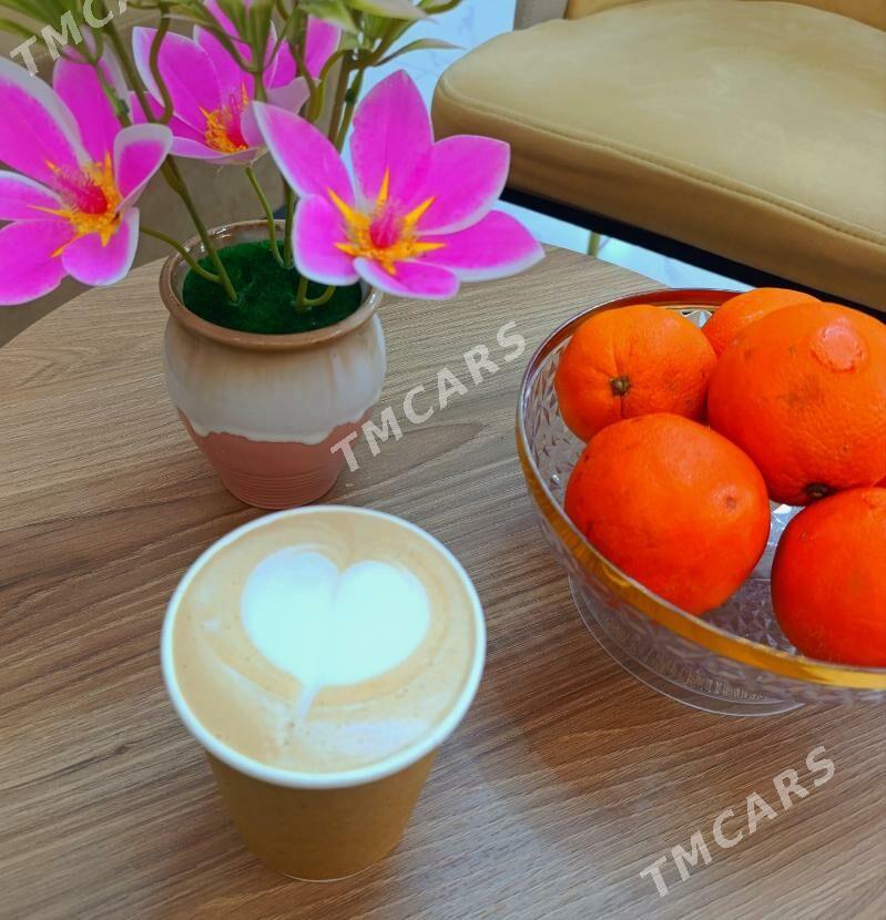 barista - Ашхабад - img 5