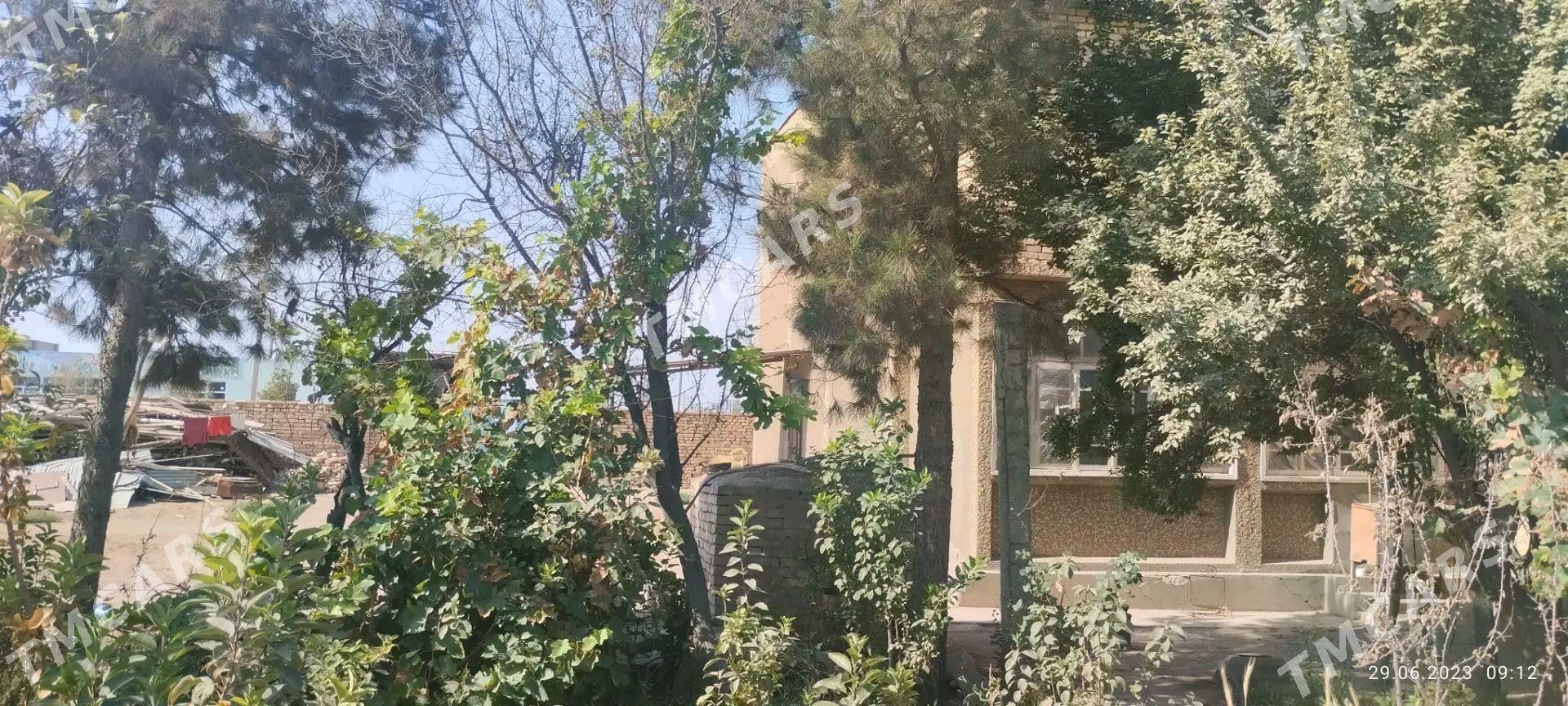 emlak - Şatlyk - img 10