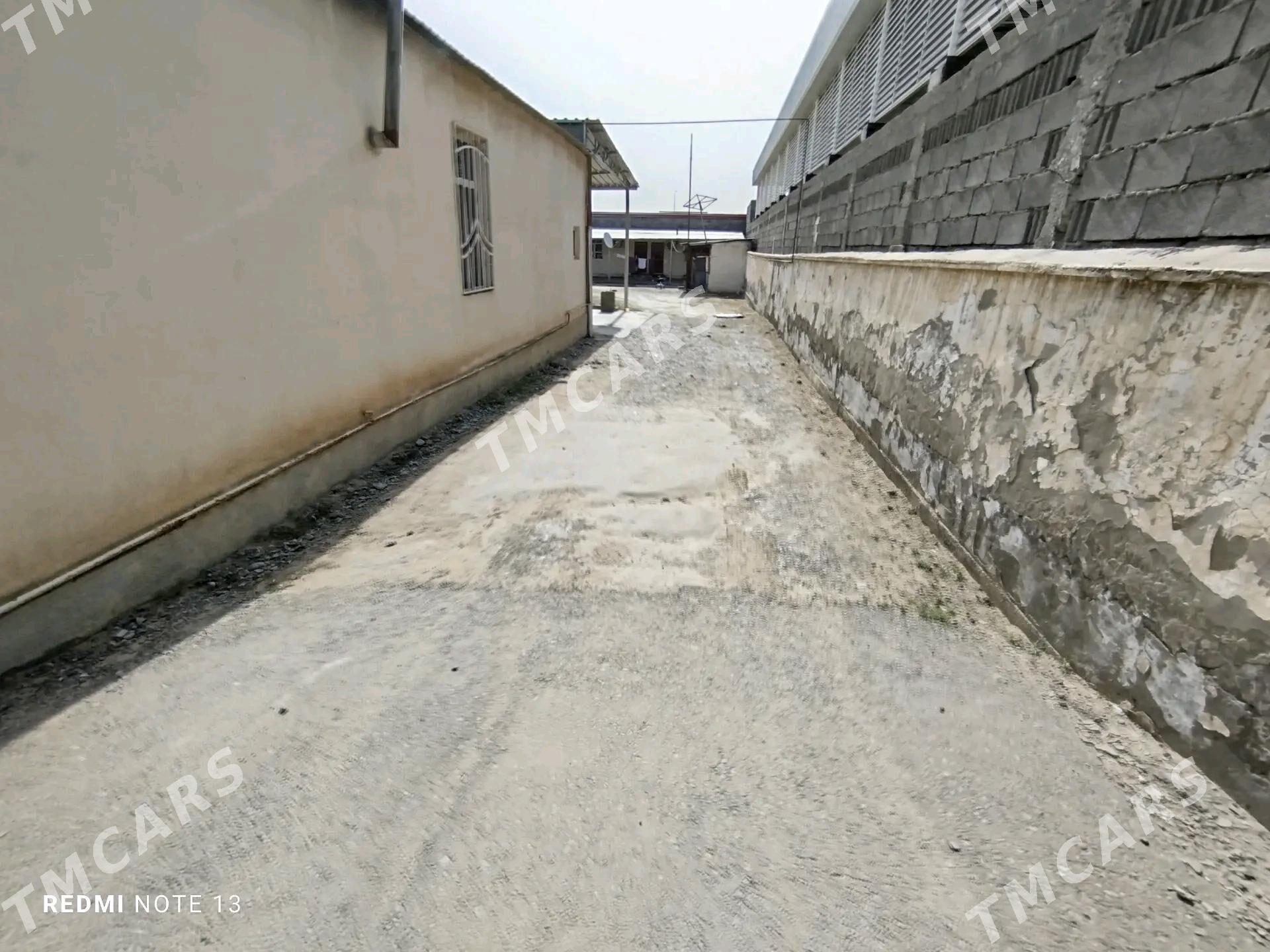 anew plan jay - Анев - img 2