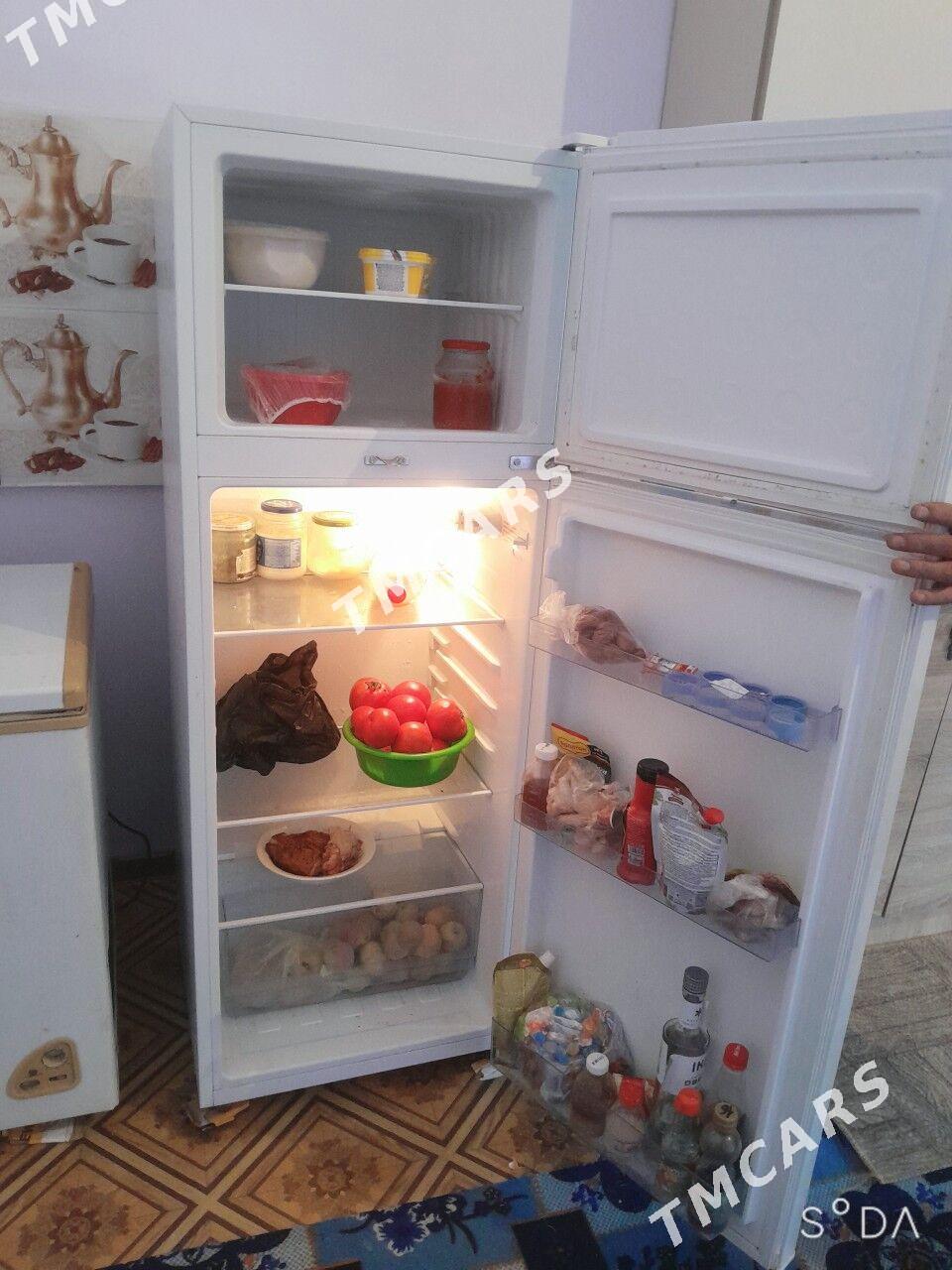 Halodinlik - Halaç - img 2