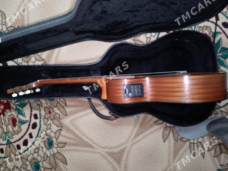 Gitara Muzima - Aşgabat - img 3