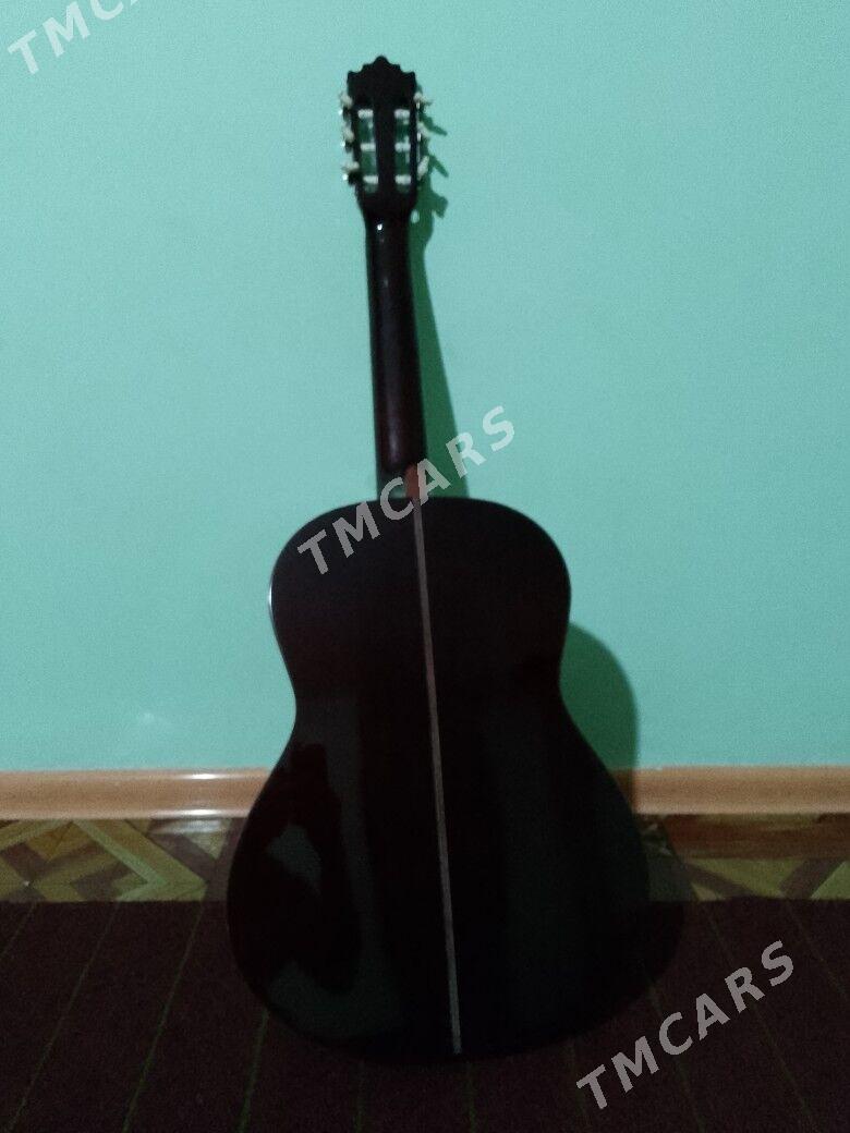 Palmer Gitara - Aşgabat - img 2