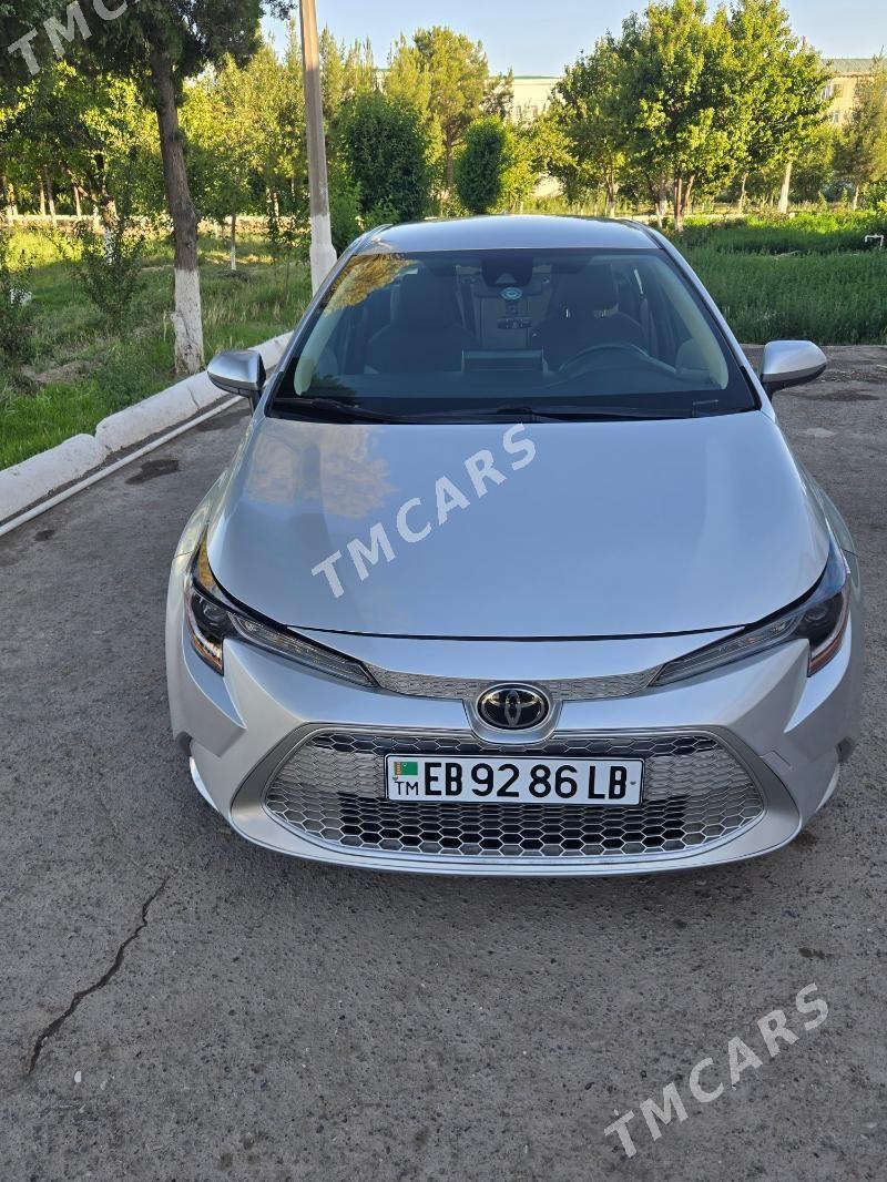Toyota Corolla 2021 - 240 000 TMT - Türkmenabat - img 3