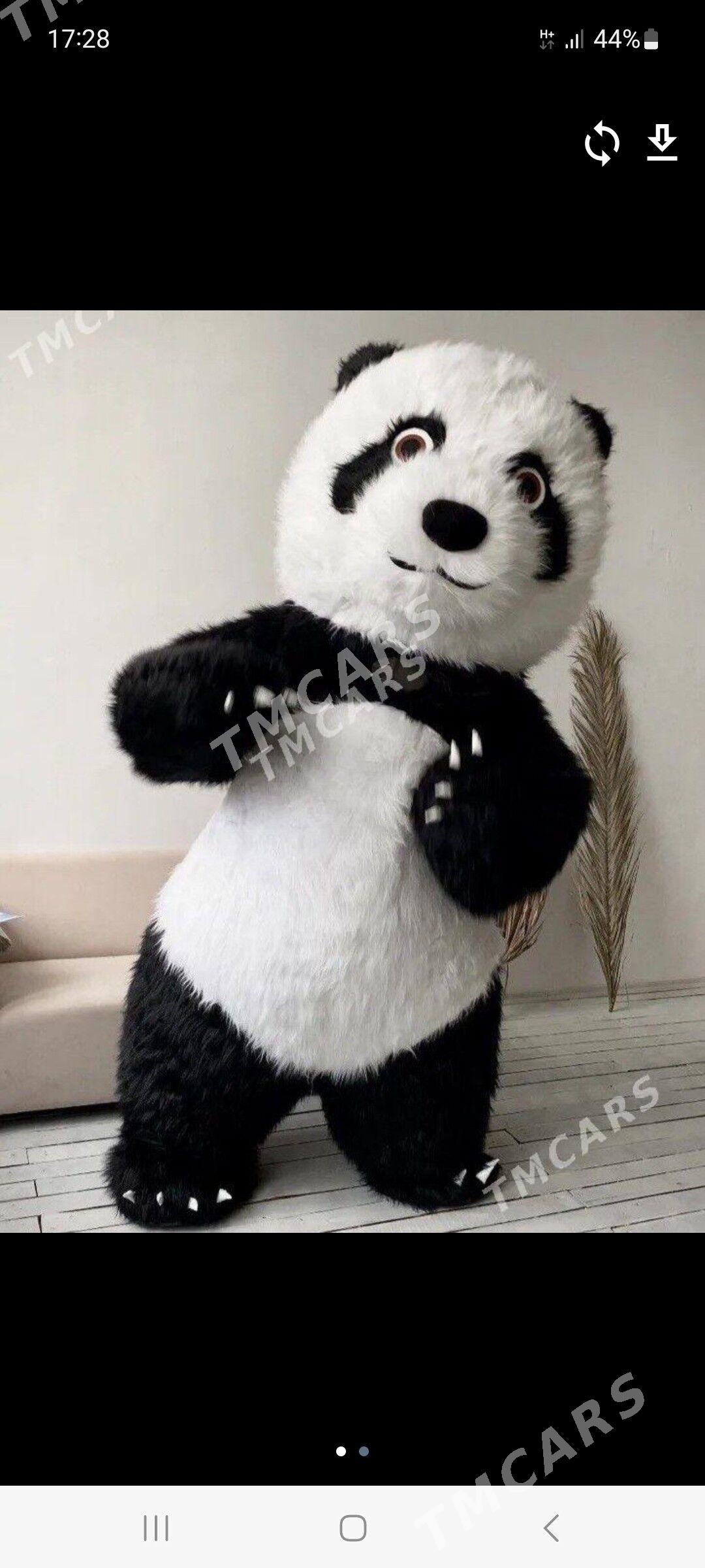 Panda - Достлук - img 2