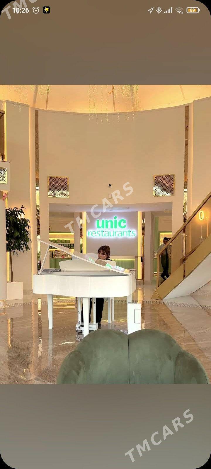 ofisiant - Aşgabat - img 3
