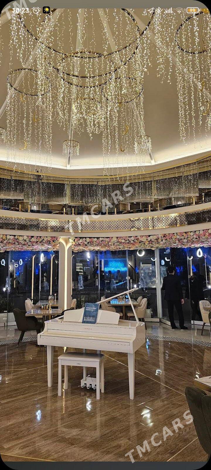 ofisiant - Aşgabat - img 8