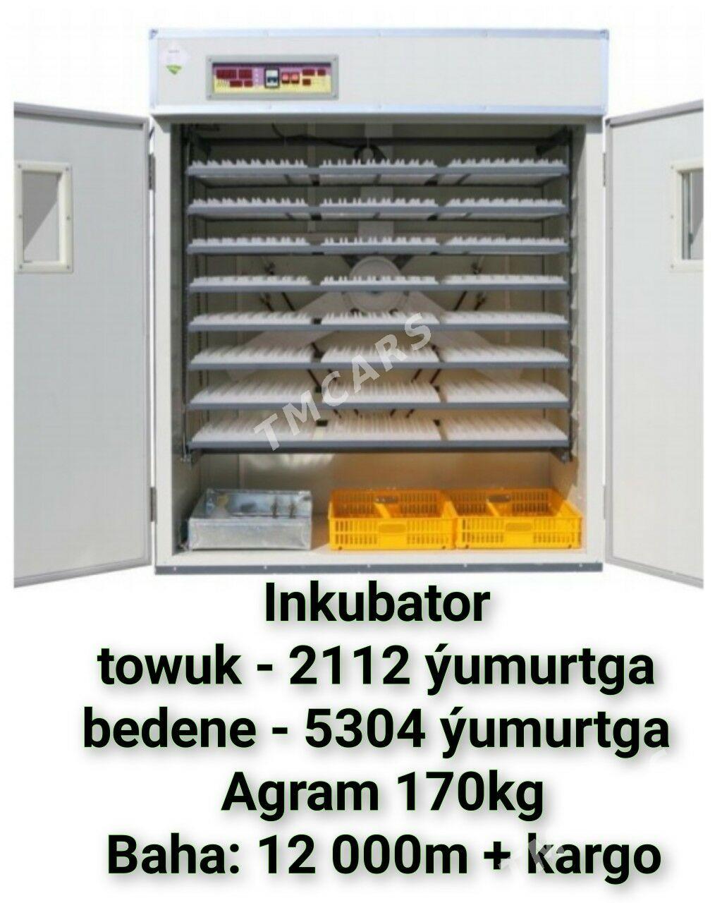 Инкубатор inkubatr towuk induk - Ашхабад - img 8