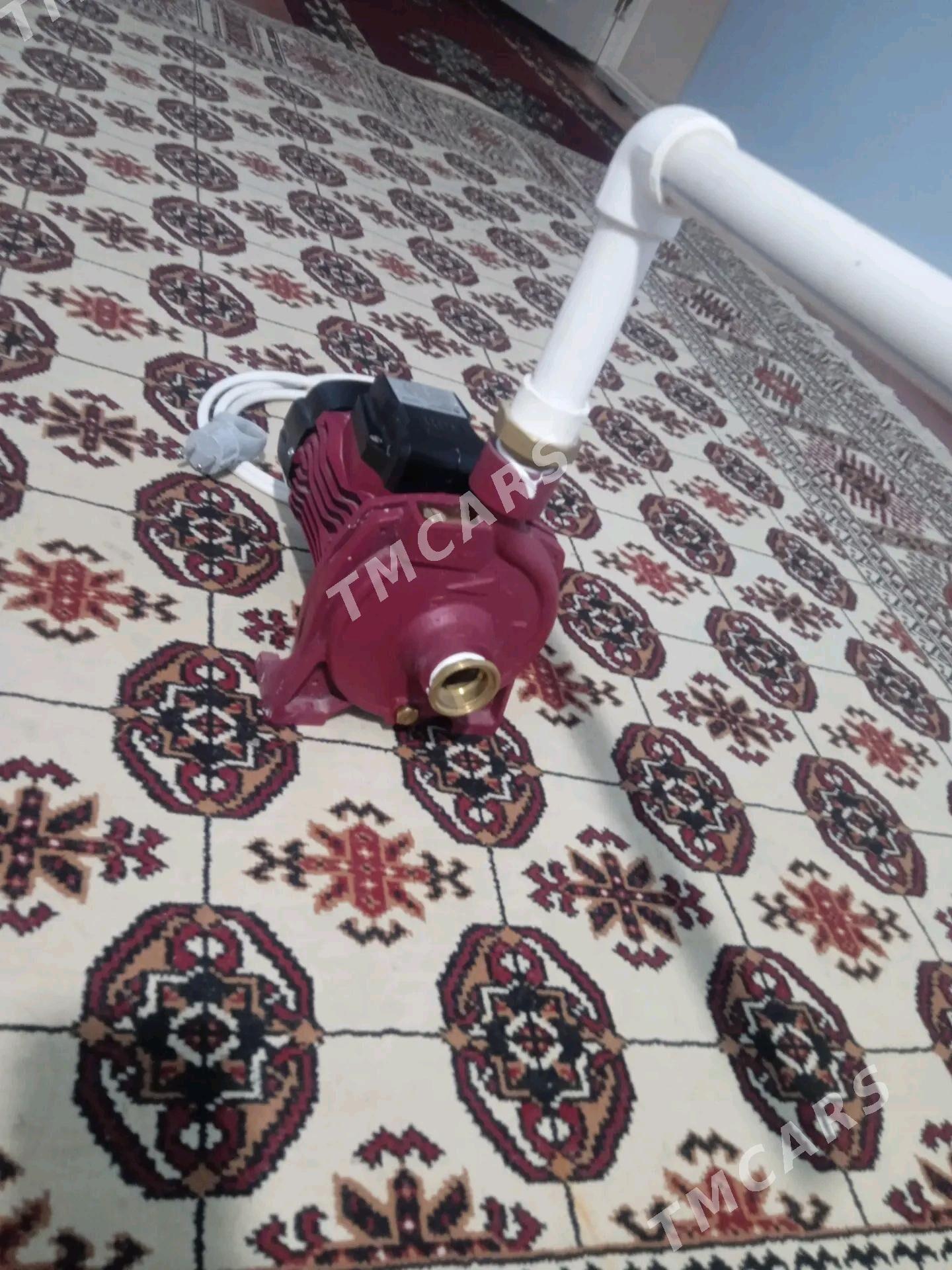 Nasoz - Daşoguz - img 2