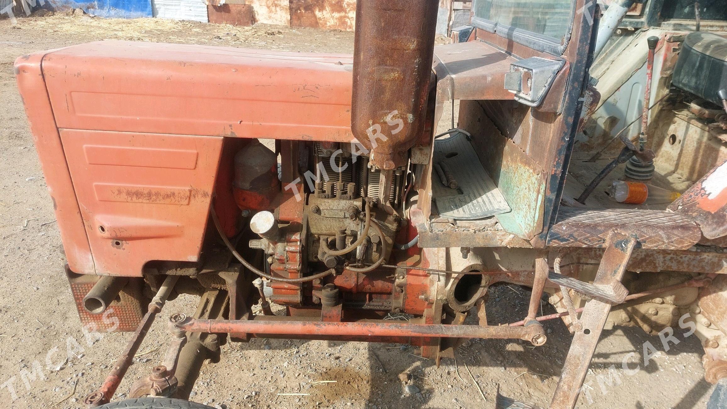 MTZ T-28 2015 - 16 000 TMT - Ak bugdaý etraby - img 2