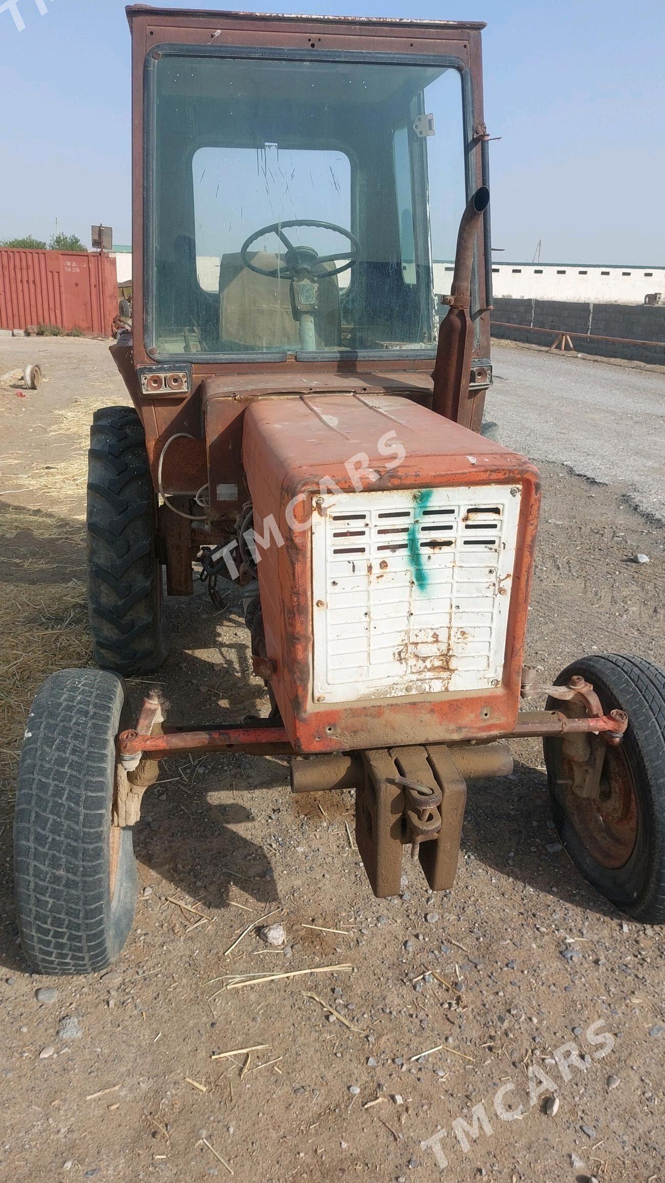MTZ T-28 2015 - 16 000 TMT - Ak bugdaý etraby - img 3