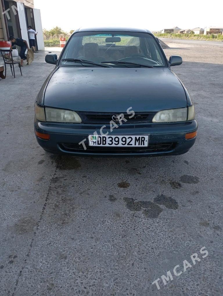 Toyota Corolla 1995 - 50 000 TMT - Sakarçäge - img 5