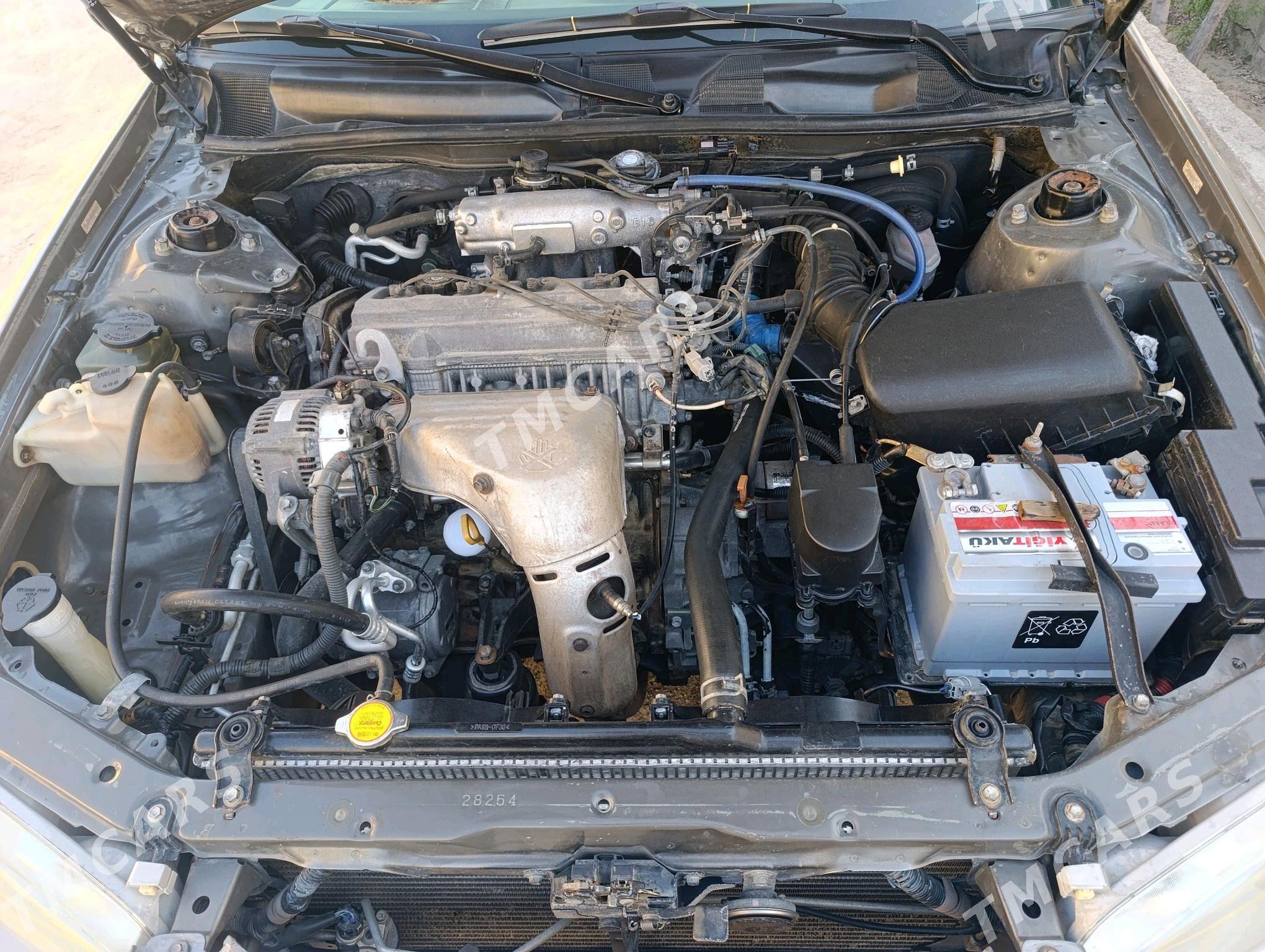 Toyota Camry 2001 - 155 000 TMT - Köneürgenç - img 3