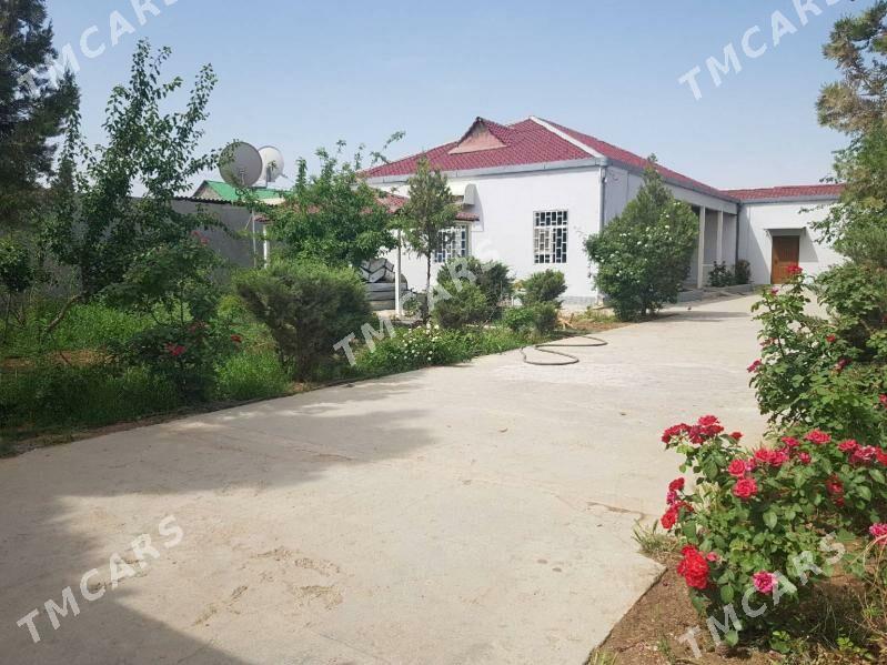 GÄMI ГЯМИ PLAN JAŸ FULL - Aşgabat - img 10