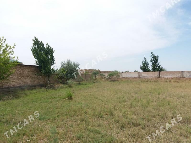 Daça aeroport - Şabat etr. - img 2