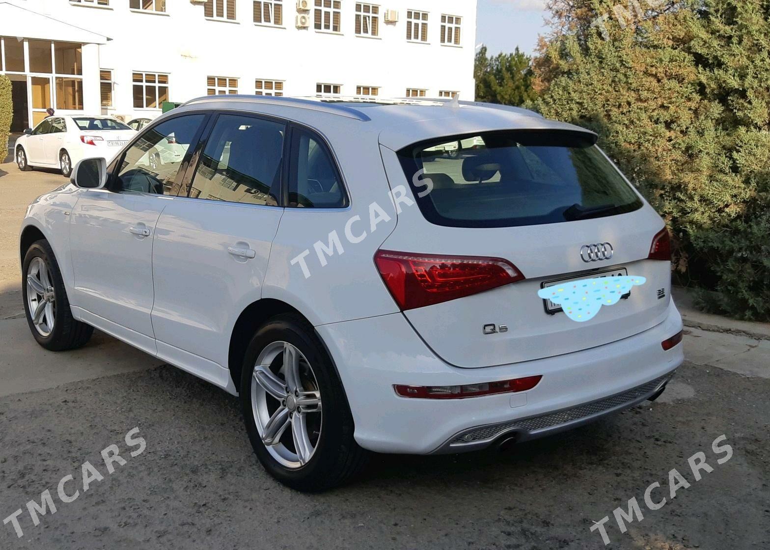 Audi Q5 2011 - 300 000 TMT - Büzmeýin - img 2