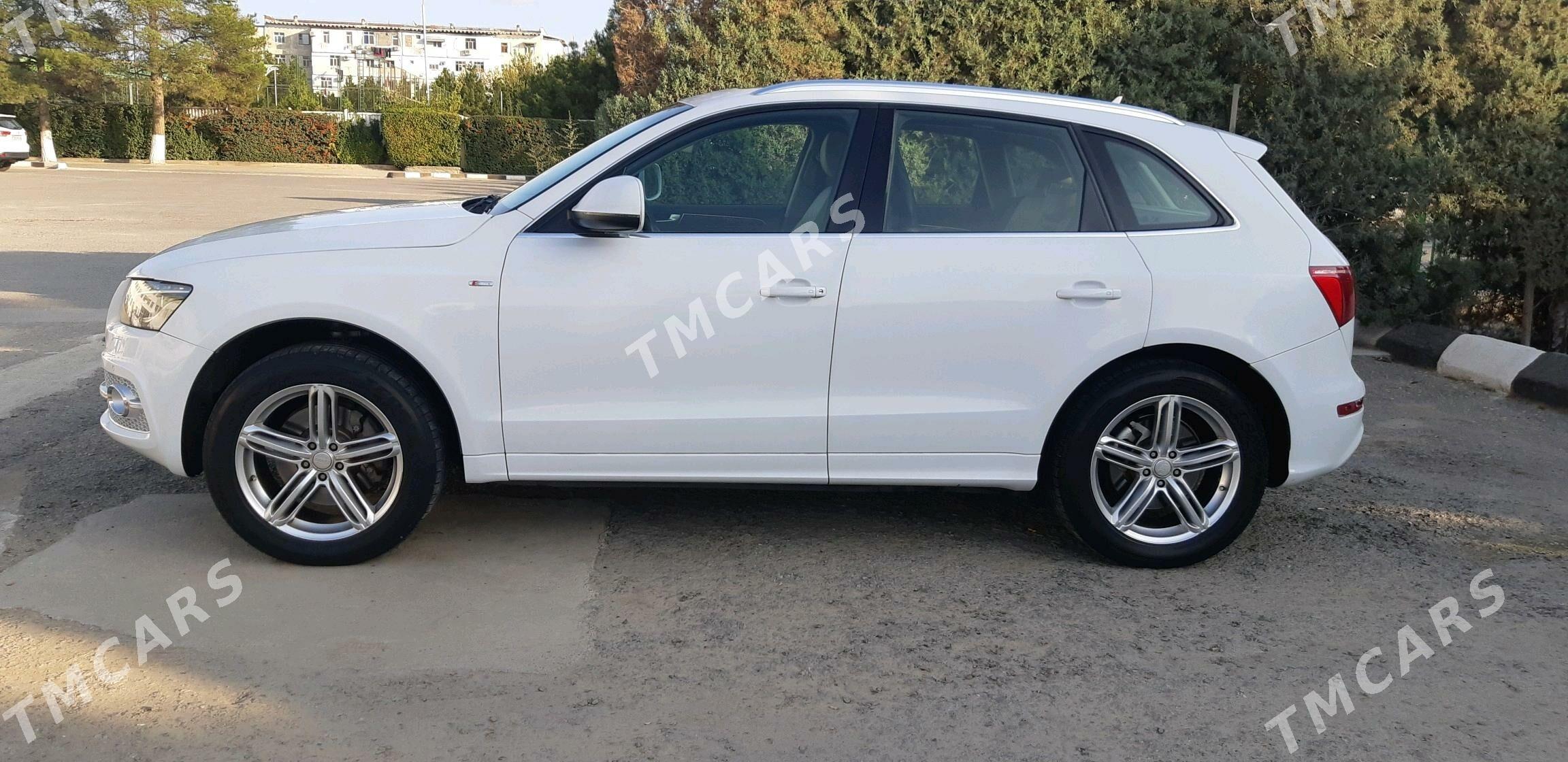 Audi Q5 2011 - 300 000 TMT - Büzmeýin - img 7
