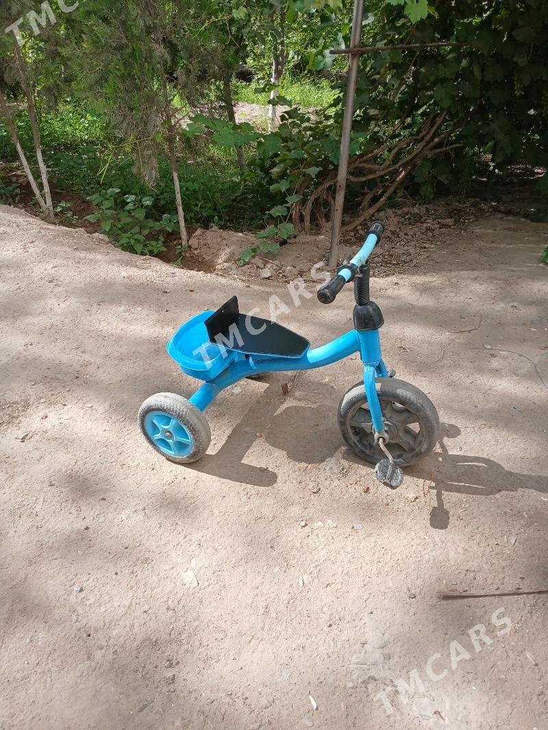 velik - Daşoguz - img 2