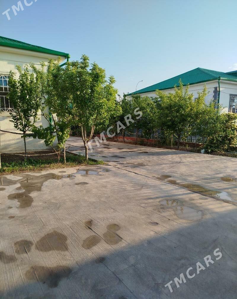 TAZE ZAMAN 5 KOM 8 SOTOH - Ашхабад - img 2