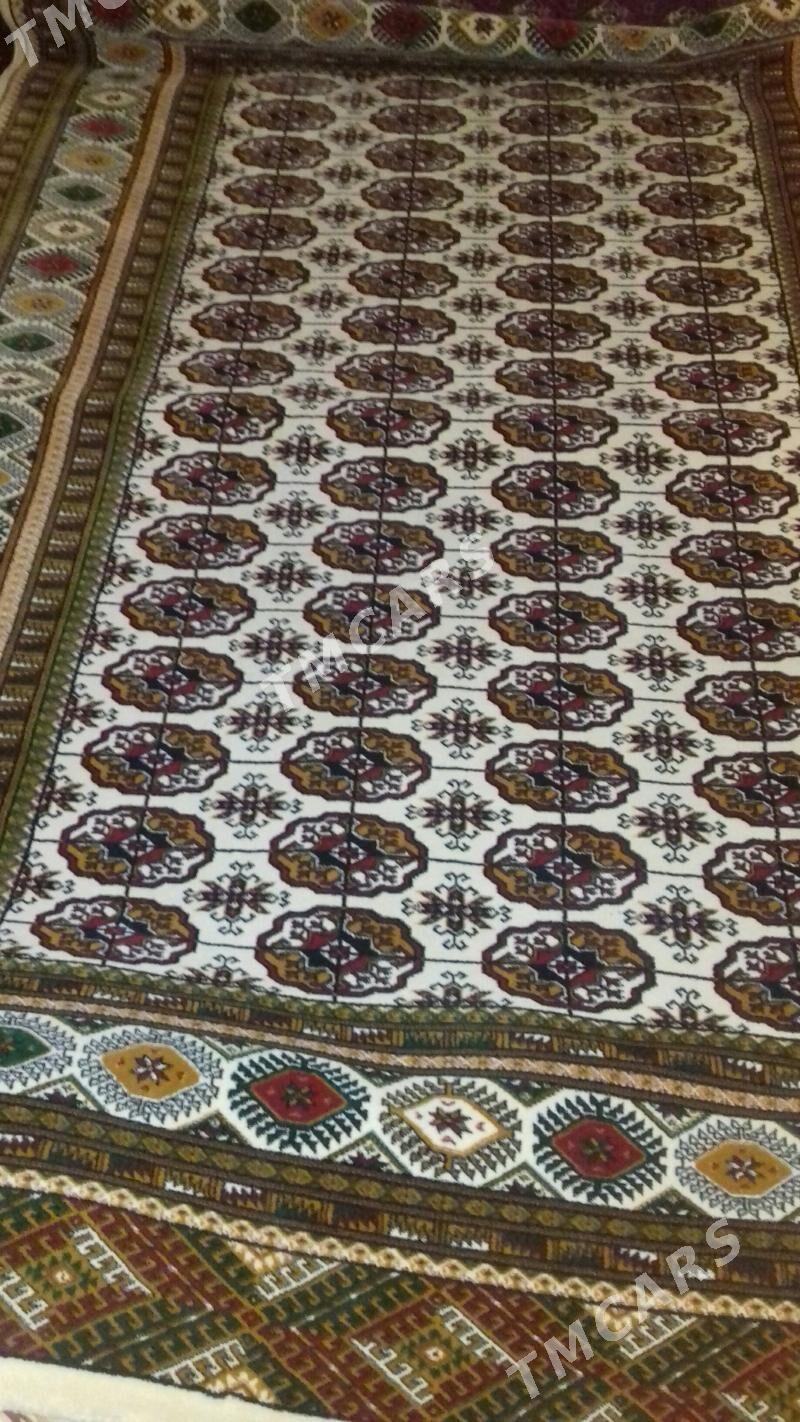 abadan haly - Kaka - img 3