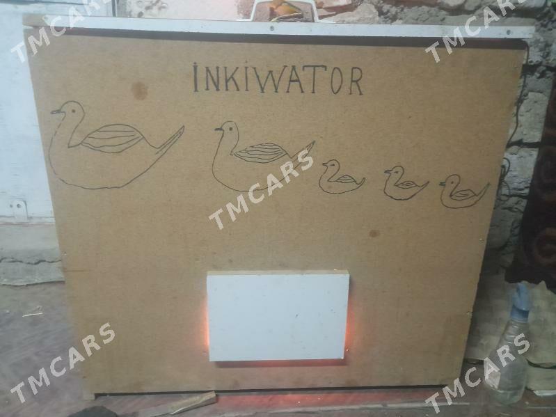 inkiwator juje cykaryan - Гумдаг - img 1