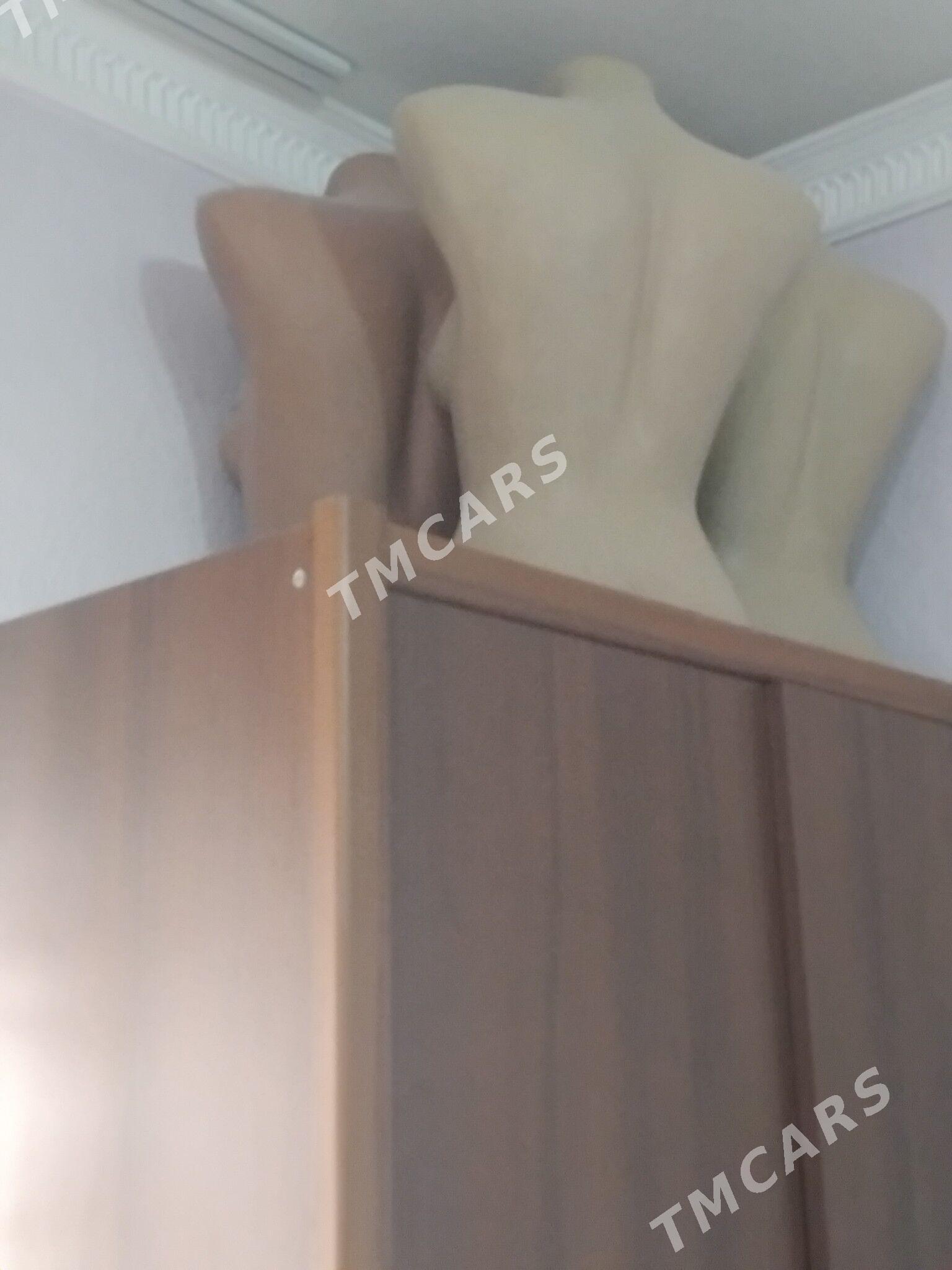 manken - Bagyr - img 2