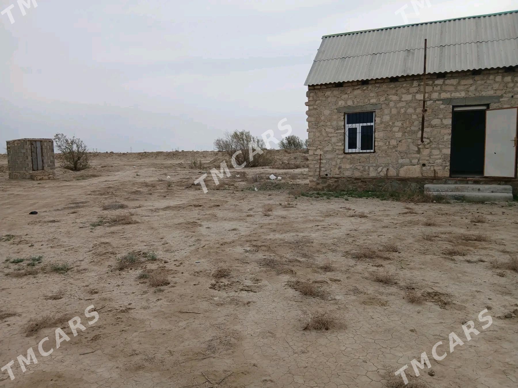 jay - Bereket - img 3