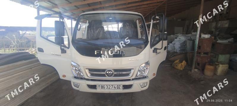 Forland H2 2025 - 280 000 TMT - Гороглы (Тагта) - img 3