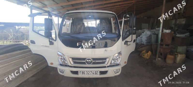 Forland H2 2025 - 280 000 TMT - Гороглы (Тагта) - img 4