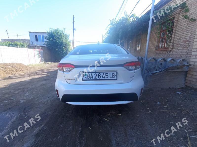 Toyota Corolla 2020 - 220 000 TMT - Türkmenabat - img 3