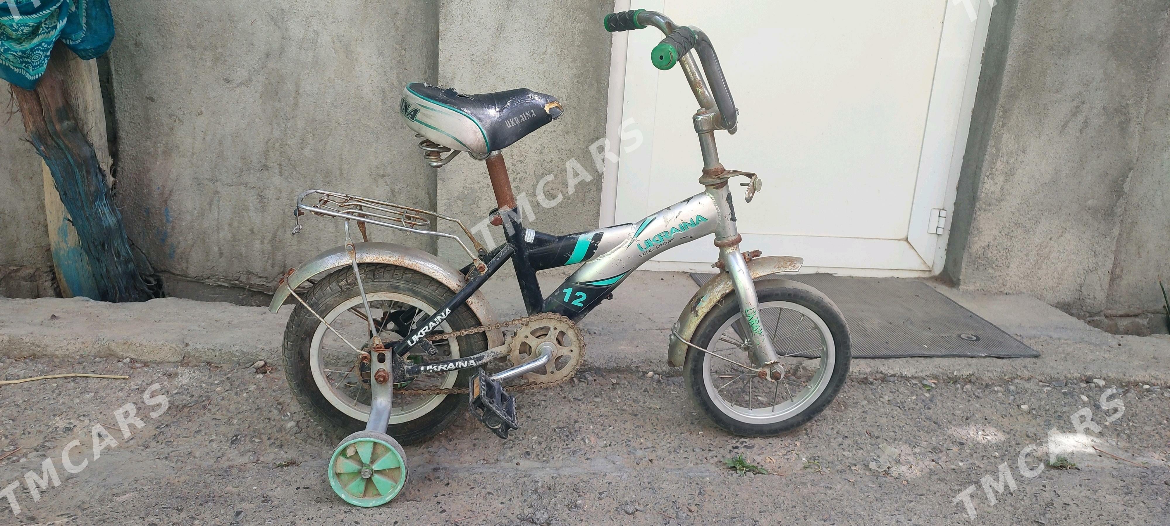 tigir kici caga welik gyssagly - Bedew - img 2