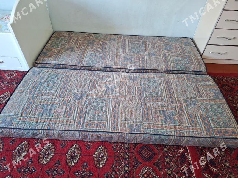 Çaga krawat - Gökdepe - img 5