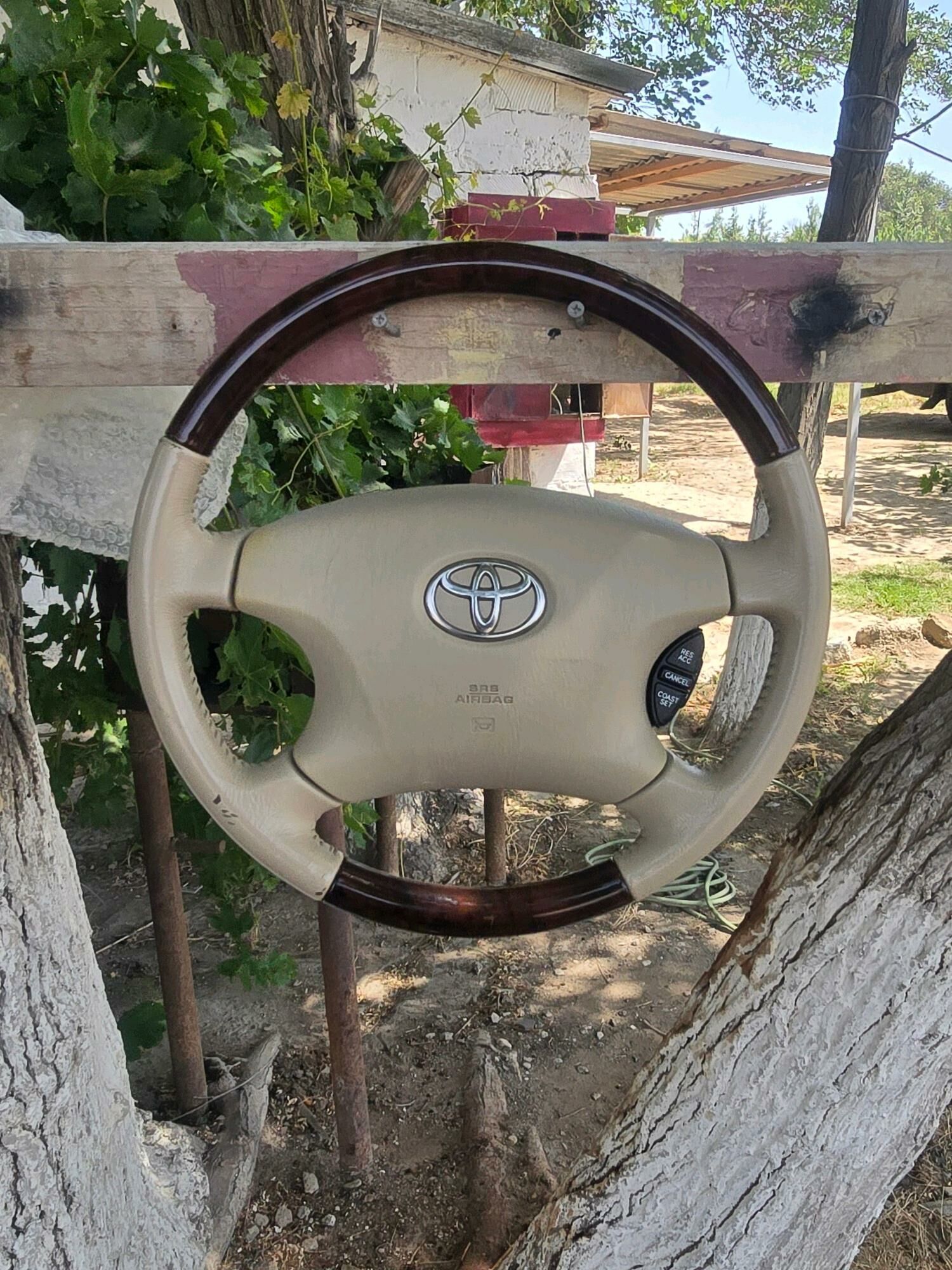 Fara we rul 1 000 TMT - Туркменбаши - img 6