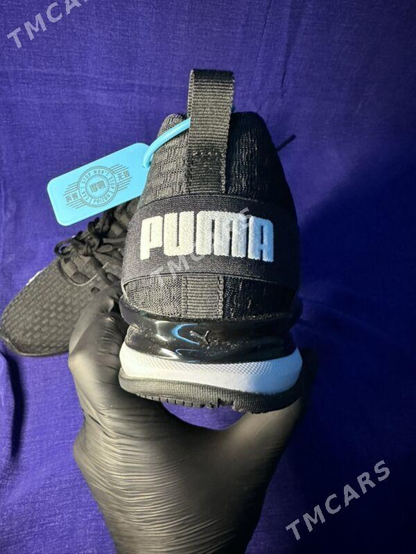 original puma - Гуртли - img 2