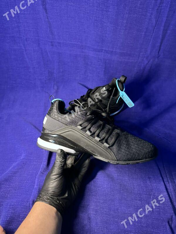 original puma - Гуртли - img 5