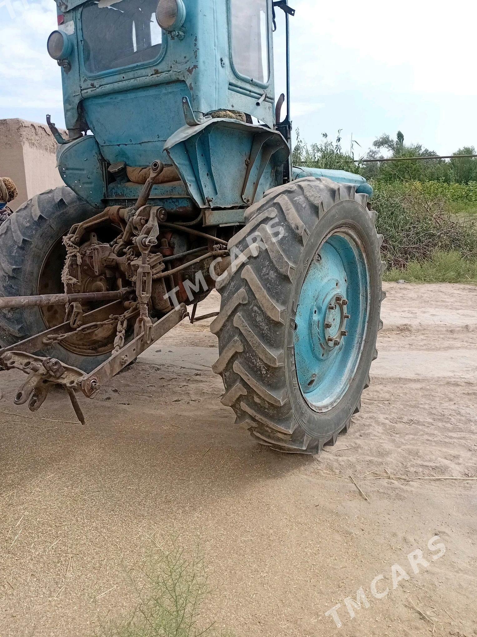 MTZ T-28 1985 - 25 000 TMT - Boldumsaz - img 2