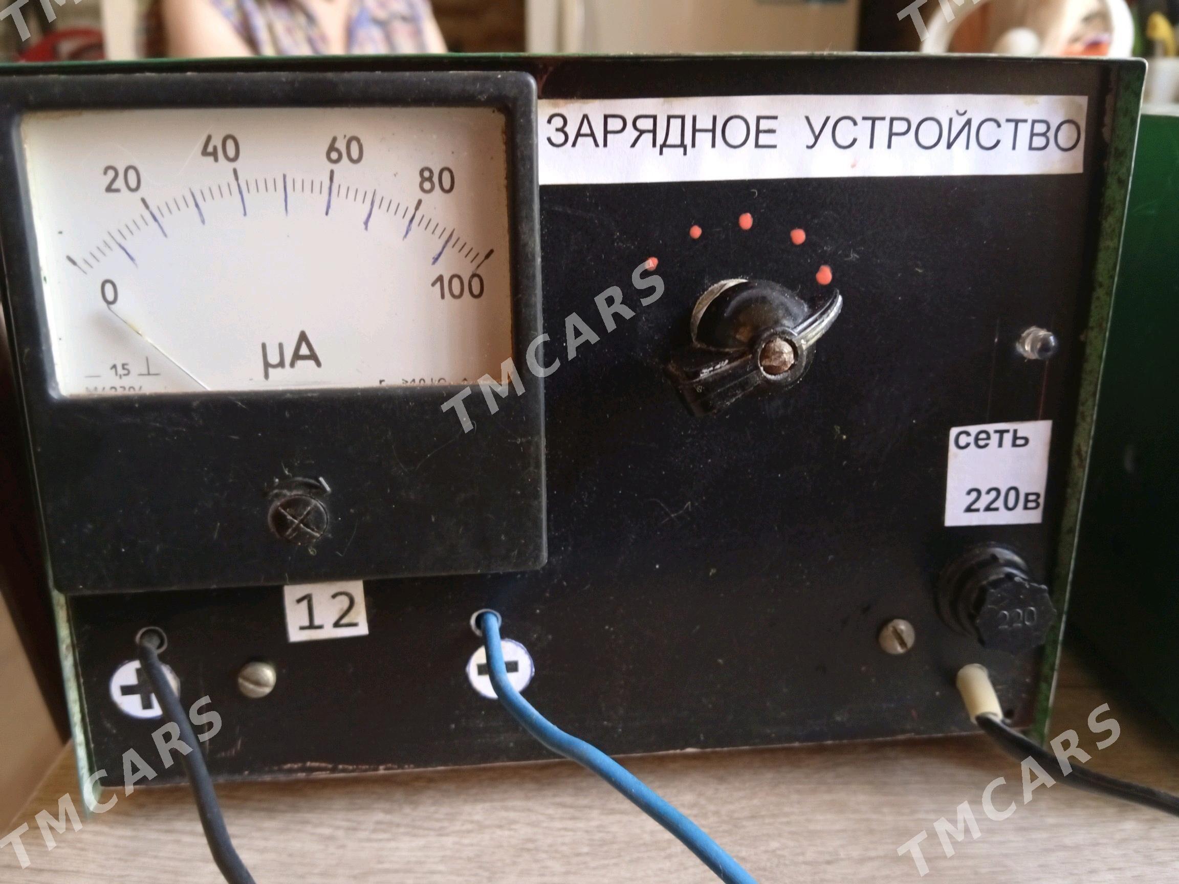 Вепримитель 12 Вольт - Дашогуз - img 4