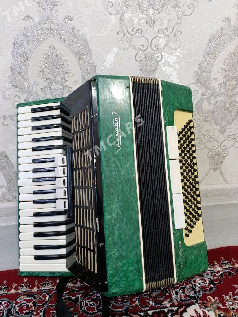 Akkardion - Balkanabat - img 3