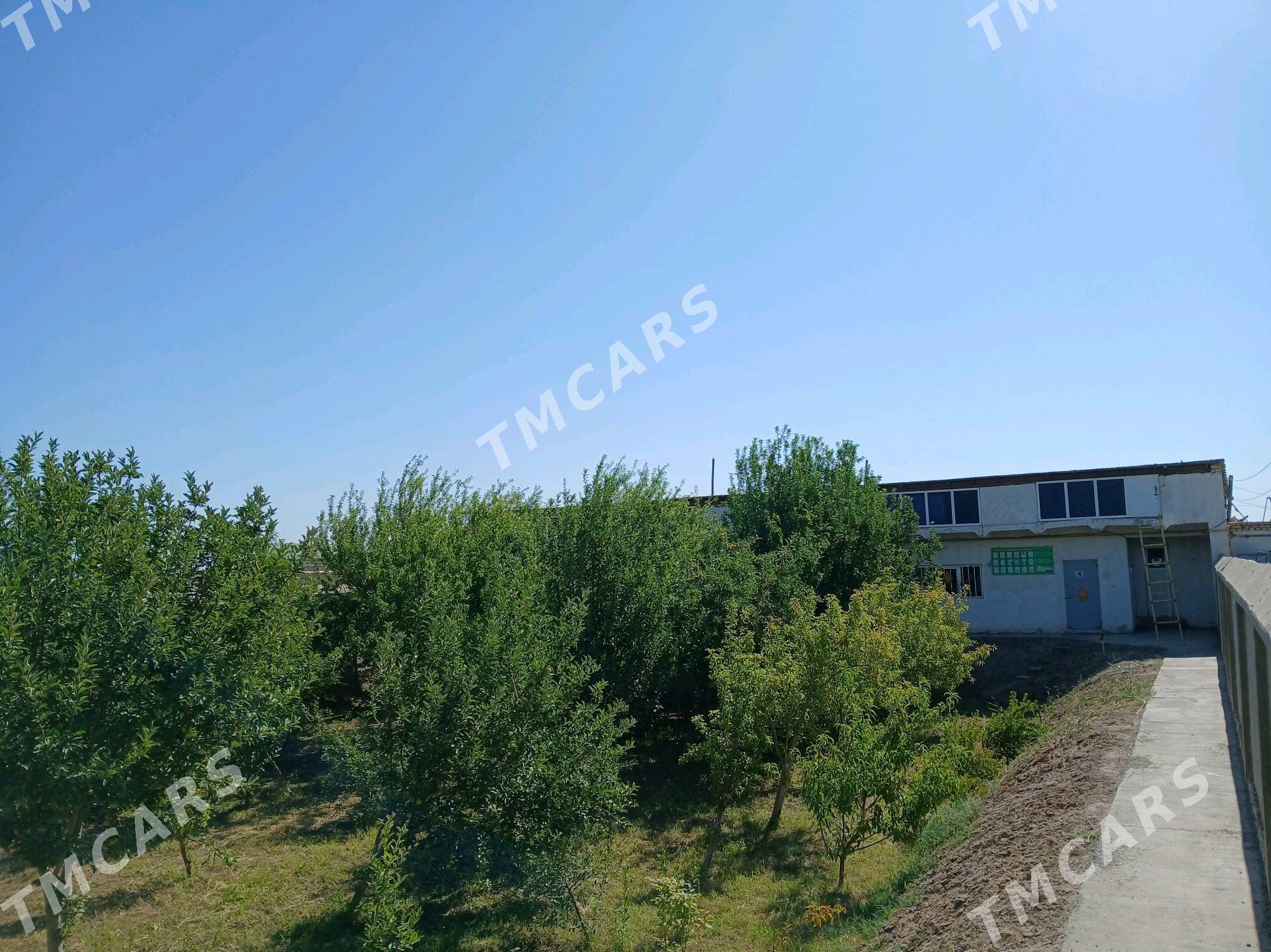 Продаётся Участок - Şabat etr. - img 2